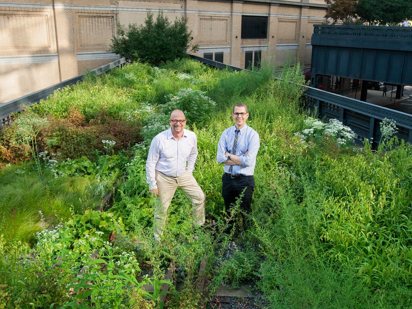 Joshua David and Robert Hammond standing in the High Line's planted meadow, twenty years after founding Friends of the High Line